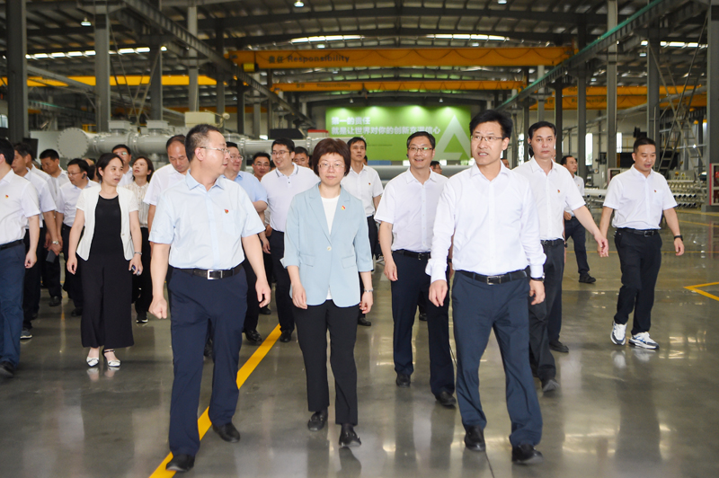 浙江省長(zhǎng)興縣黨政代表團(tuán)調(diào)研安靠智電